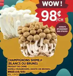 Kim Phat SHIMEJI MUSHROOMS offer