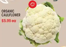 Goodness Me Organic cauliflower offer