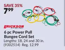 Princess Auto ERICKSON 6 pc Power Pull Bungee Cord Set offer