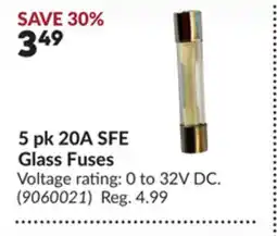Princess Auto 5 pk 20A SFE Glass Fuses offer