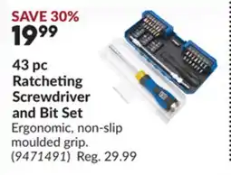 Princess Auto 43 pc Ratcheting Screwdriver and Bit Set offer