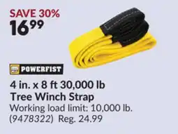 Princess Auto 4 in. x 8 ft 30,000 lb Tree Winch Strap offer