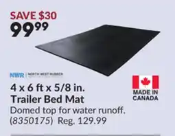 Princess Auto 4 x 6 ft x 5/8 in. Trailer Bed Mat offer