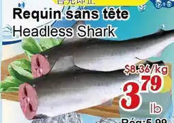 Marche C&T Requin sans tête offer