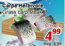 Marche C&T Carpe Herbivore offer