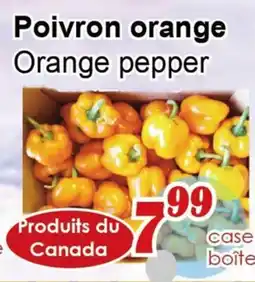 Marche C&T Orange pepper offer