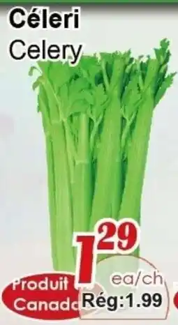 Marche C&T Celery offer