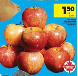 Real Canadian Superstore Orchard Gala Apples offer