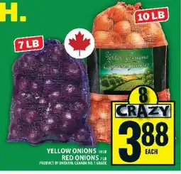 Food Basics Yellow Onions / Red Onions offer