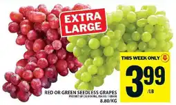 Food Basics RED OR GREEN SEEDLESS GRAPES offer