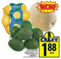 Food Basics Cantaloupes, Avocados, Lemons offer