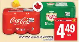 Food Basics COCA-COLA OR CANADA DRY MINIS offer