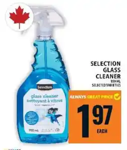 Food Basics SELECTION GLASS CLEANER offer