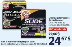 Walmart Arm & Hammer clumping cat litter offer