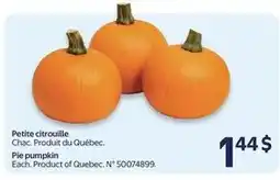 Walmart Pie pumpkin offer