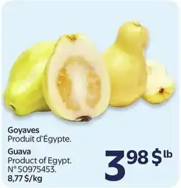 Walmart Guava offer
