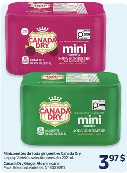 Walmart Canada Dry mini canette soda gingembre offer