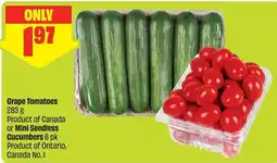 FreshCo Grape Tomatoes Cucumbers offer