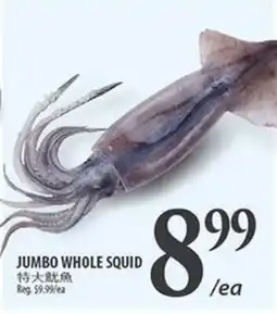 Al Premium Food Mart JUMBO WHOLE SQUID offer