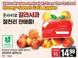 Galleria Supermarket Ontario-Grown Gala Apples offer