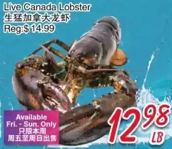 Foody Mart Live Canada Lobster offer