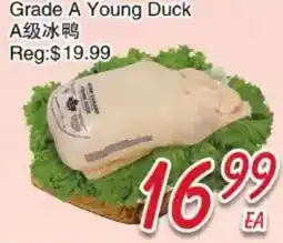 Foody Mart Grade A Young Duck offer