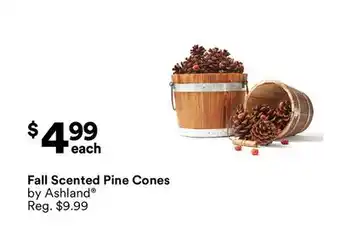 Michaels Fall Scented Pine Cones by Ashland offer