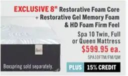The Brick Springwall Spa 10 Firm Smooth Top Twin Mattress in a Box offer