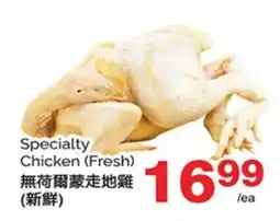 T&T Supermarket SPECIALTY CHICKEN (FRESH) offer