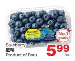 T&T Supermarket BLUEBERRY offer