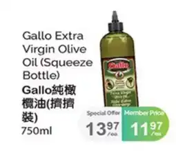 T&T Supermarket GALLO EXTRA VIRGIN OLIVE OIL (SQUEEZE BOTTLE) offer