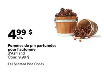 Michaels Pommes de pin parfumées pour l'automne d'Ashland offer