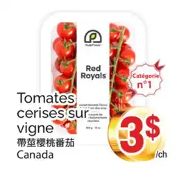 T&T Supermarket TOMATES CERISES SUR VIGNE offer