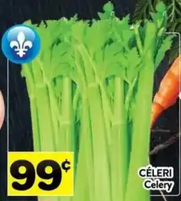 Supermarché PA Celery offer