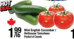 Arz Fine Foods Mini English Cucumber / Hothouse Tomatoes offer