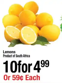 Arz Fine Foods Lemons offer