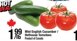 Arz Fine Foods Mini English Cucumber / Hothouse Tomatoes offer