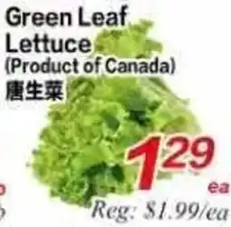 Superking Supermarket Green Leaf Lettuce offer