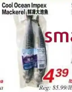 Superking Supermarket Cool Ocean Impex mackerel offer