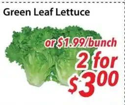 Bestco Food Mart Green Leaf Lettuce offer