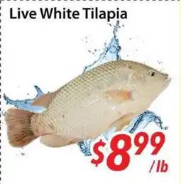 Bestco Food Mart Live White Tilapia offer