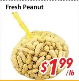 Bestco Food Mart Fresh Peanut offer