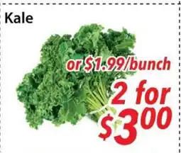 Bestco Food Mart Kale offer