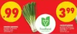 No Frills Foodland green onions offer