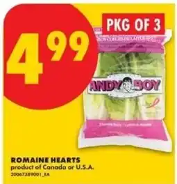 No Frills Andy boy romaine hearts offer
