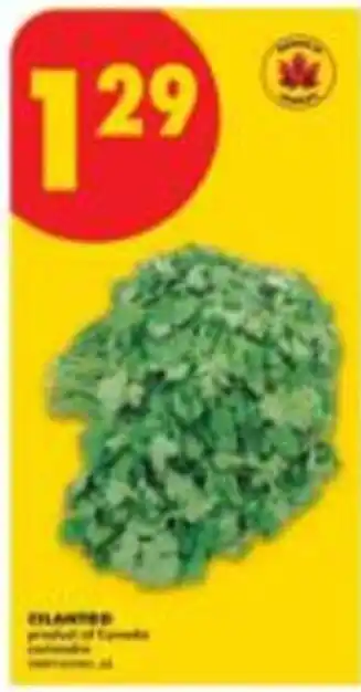 No Frills Cilantro offer