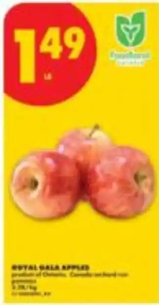 No Frills Royal gala apples offer