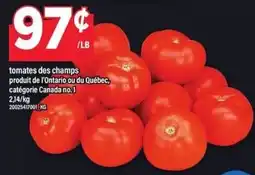 Maxi tomates des champs offer