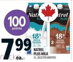 Metro Natrel Plus Milk offer