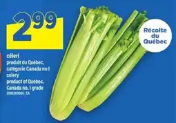 Maxi celery offer
